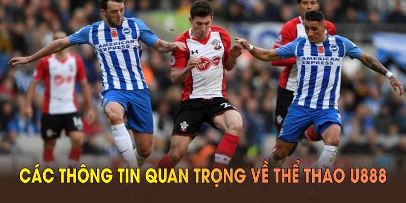 Tổng quan các thông tin quan trọng về thể thao U888